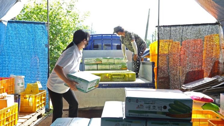 Hwacheon County to Subsidize Shipping Costs for Local Farmers...Logistics Support Eases Farm Management