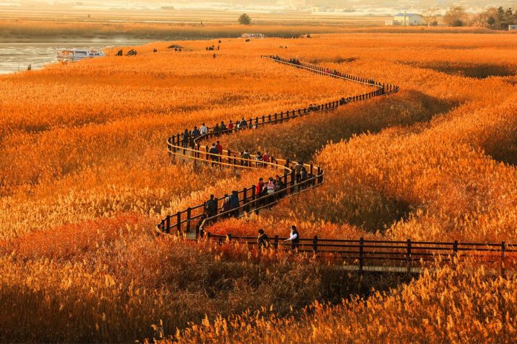 Experience the True Charm of Jeollanam-do During the Chuseok Holiday