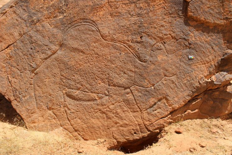 Visible for 90 Minutes at Sunrise... Archaeological Community Celebrates 12,000-Year-Old Petroglyph Discovery