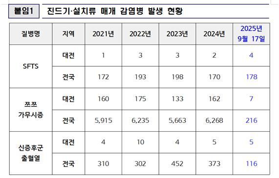 사진=대전시 제공