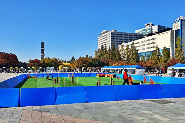 고양시는 지금 축제 중…전시·문화·축제로 '가을빛 물든 10월'