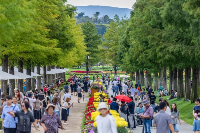 순천만국가정원, 추석 연휴 속 관람객 '300만 돌파'