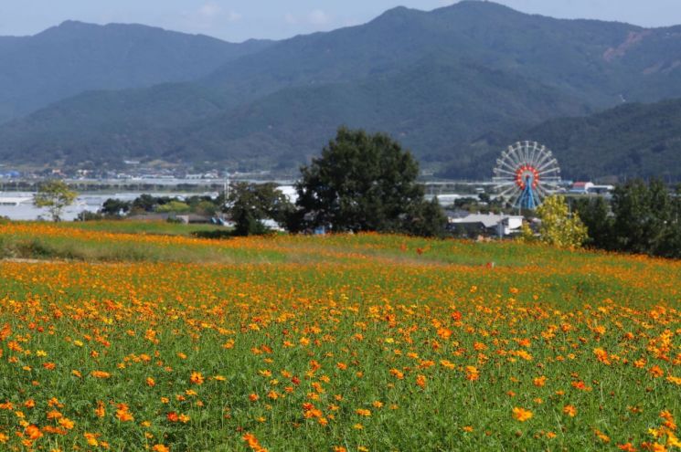 곡성군은 오는 18~19일 동화정원에서 가을 음악회 '시월愛 어느 멋진 날'을 개최한다. 곡성군 제공