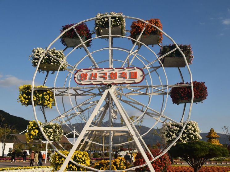 가을축제의 매력… 양산시, ‘2025 양산국화축제’ 10월 24일 개막