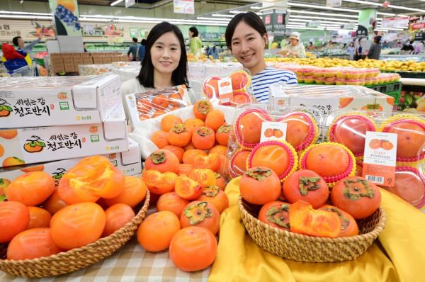 기재부 "상반기 부진서 벗어나…경기 개선 흐름 이어져" 