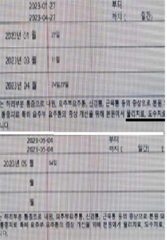 환자가 영양수액, 피부 시술을 받은 뒤 허리 물리·도수치료를 받았다는 내용으로 허위 작성한 진료기록. 금감원