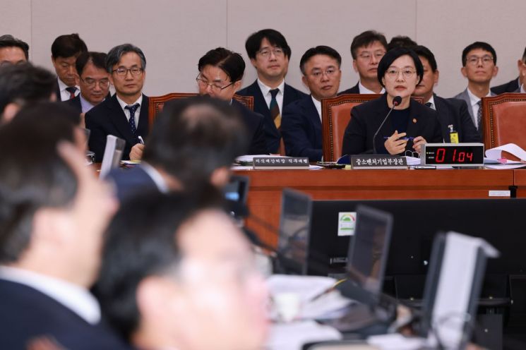 14일 서울 영등포구 여의도 국회에서 열린 중소벤처기업부, 특허청 등에 대한 산업통상자원중소벤처위원회 국정감사에서 한성숙 중소벤처기업부 장관이 의원 질의에 답하고 있다. 연합뉴스