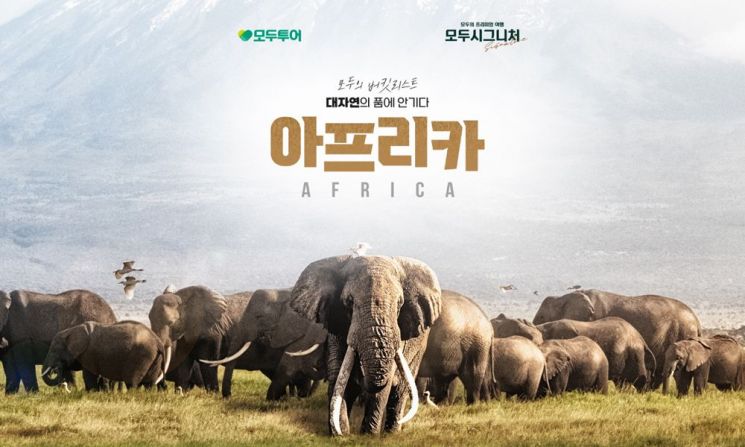 [오늘의신상]"대자연 품에 안기다"…모두의 버킷리스트 '아프리카'
