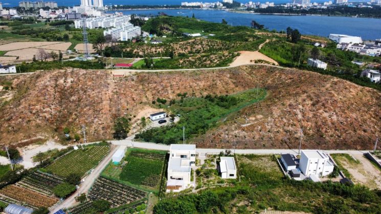 강릉시, 산림청 '우리가 키운 우수조림지' 최우수기관 선정