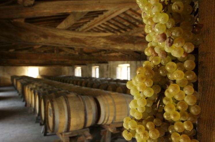 Aging cellar of Castello Pomino. [Photo by Frescobaldi]