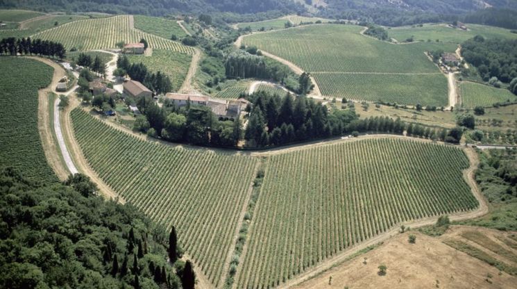 Vineyard view of Castello Pomino. [Photo by Frescobaldi]