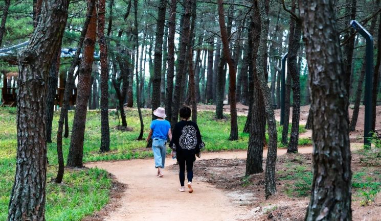 가을관광의 계절… 청정 바다·맛이 있는 여행지 ‘울진’