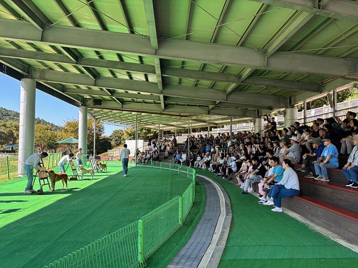 진도개테마파크가 관람객들의 큰 호응으로 명실상부한 지역관광지로 자리잡았다. 진도군 제공.