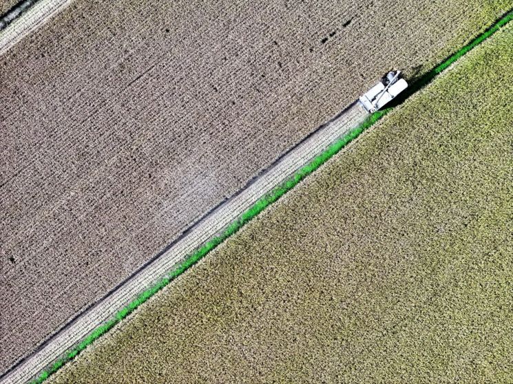 [내일 날씨] 광주·전남 종일 흐리고 밤부터 비