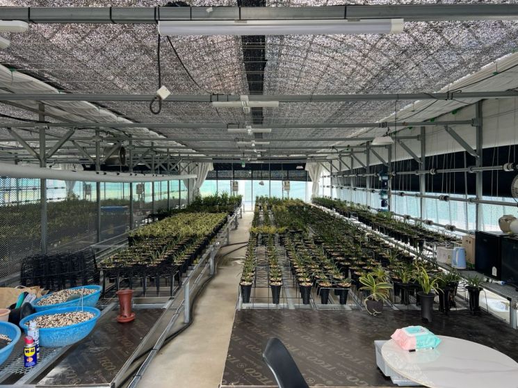 Hwasun County Achieves Korea's First Export of Chunlan Orchids to China