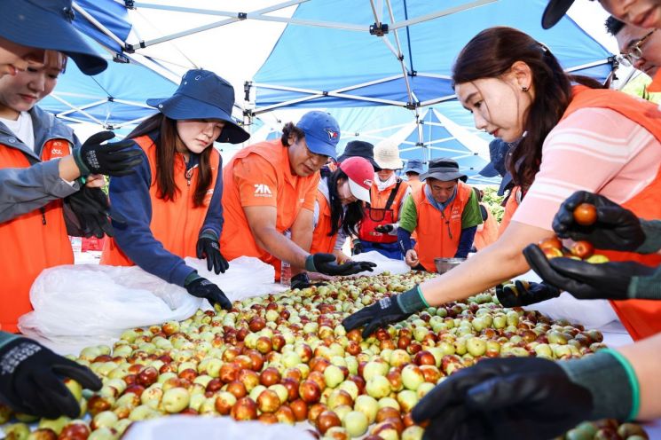 중앙그룹, 파주 농가서 사과대추 수확 봉사…200㎏ 기부