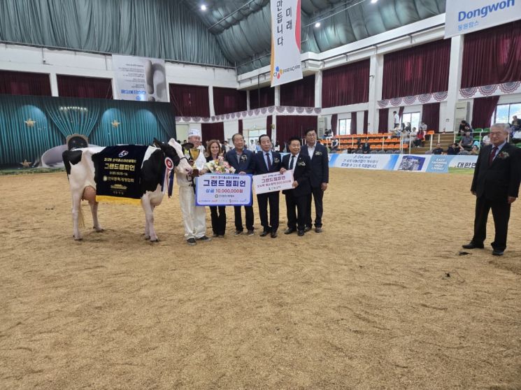 지난 15일부터 16일까지 경기도 안성시 농협경제지주 안성팜랜드에서 열린 2025 한국홀스타인품평회에서 포천시 이동면 노곡목장(대표 최명회)이 그랜드챔피언과 준그랜드챔피언을 동시에 수상하고 있다. 포천시 제공