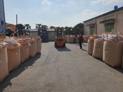 전남도, 올해 생산 공공비축미 19만톤 매입…역대 최대 규모