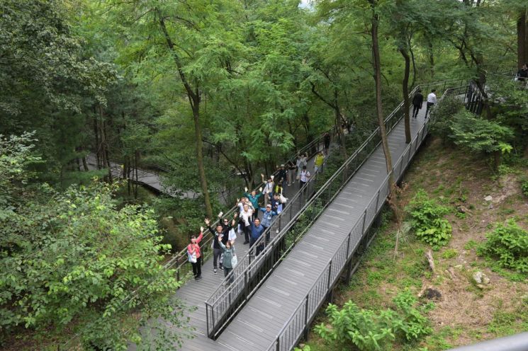 홈즈리더 남산자락숲길 산책 모습. 중구 제공.