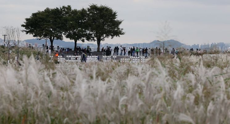 19일 서울억새축제가 열리는 서울 하늘공원의 모습. 연합뉴스