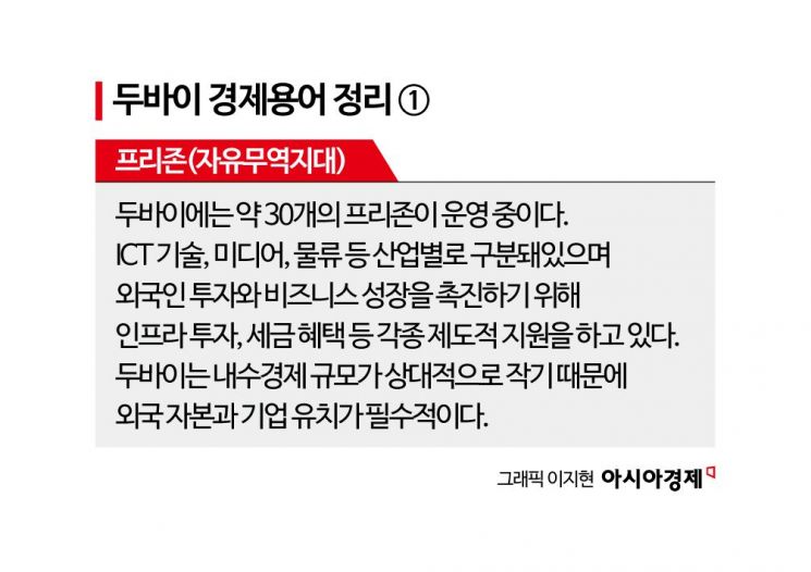 "새 아파트, 비트코인으로 샀어"…'편하고 세금은 적게' 전세계 기업·돈 빨아들이는 두바이[규제없는도시, 메가샌드박스]⑨