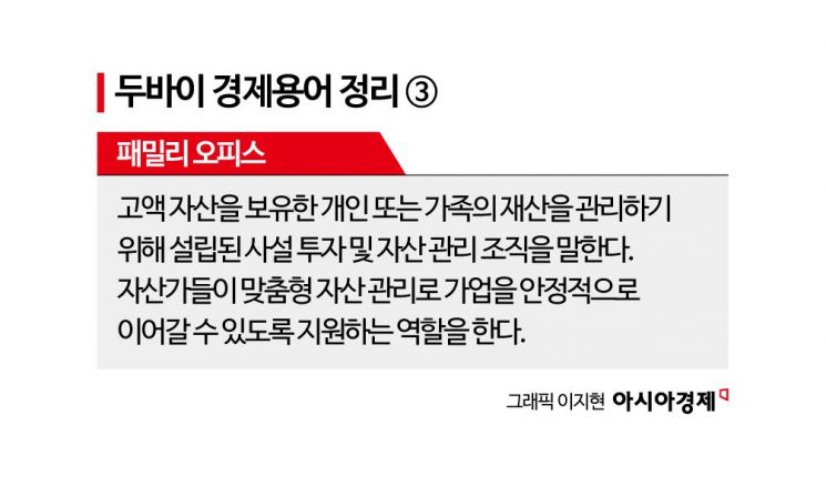 "부자들 모여드는 두바이… 자금 관리 新 시장 생겼죠"[규제없는도시, 메가샌드박스]⑪