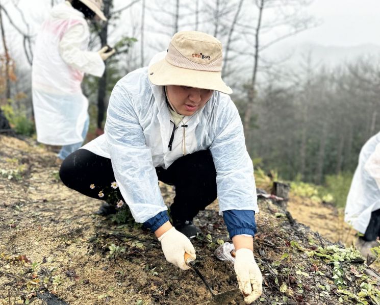 비가 내리는 가운데 봉사자가 경북 울진 산불 피해 지역에서 도토리 묘목을 심으며 산림 복원 활동에 참여하고 있다. 희망브리지