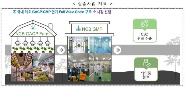 Yeoncheon County Sets Sights on Becoming Green Bioindustry Hub with Approval of Medical Hemp Demonstration Sandbox