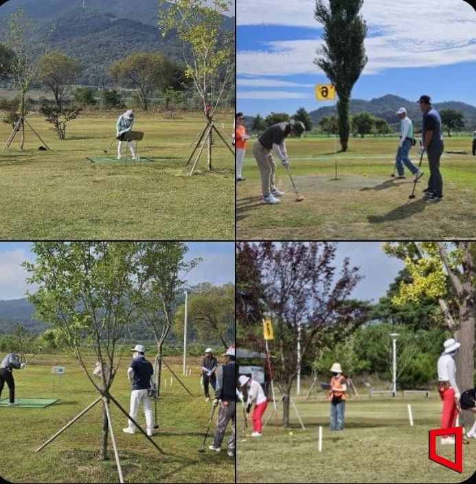 동락, 양포, 구미, 선산, 해평, 도개 6개 구장에서 매주 금요일과 토요일에 걸쳐 예선전을 치뤘다./김이환기자