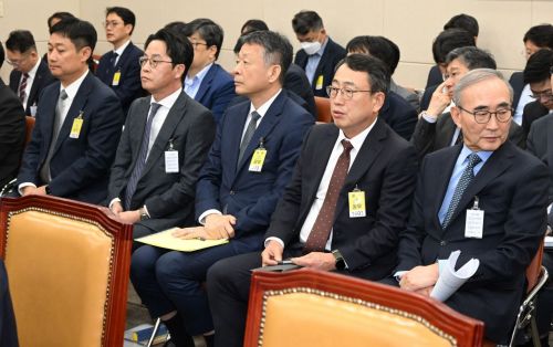 [2025국감]조좌진 롯데카드 대표 "사퇴포함 인적쇄신"