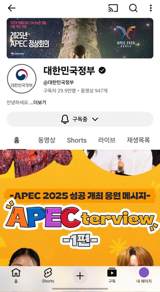 문체부, APEC 정상회의 성공 기원 국민참여 응원 주간 운영