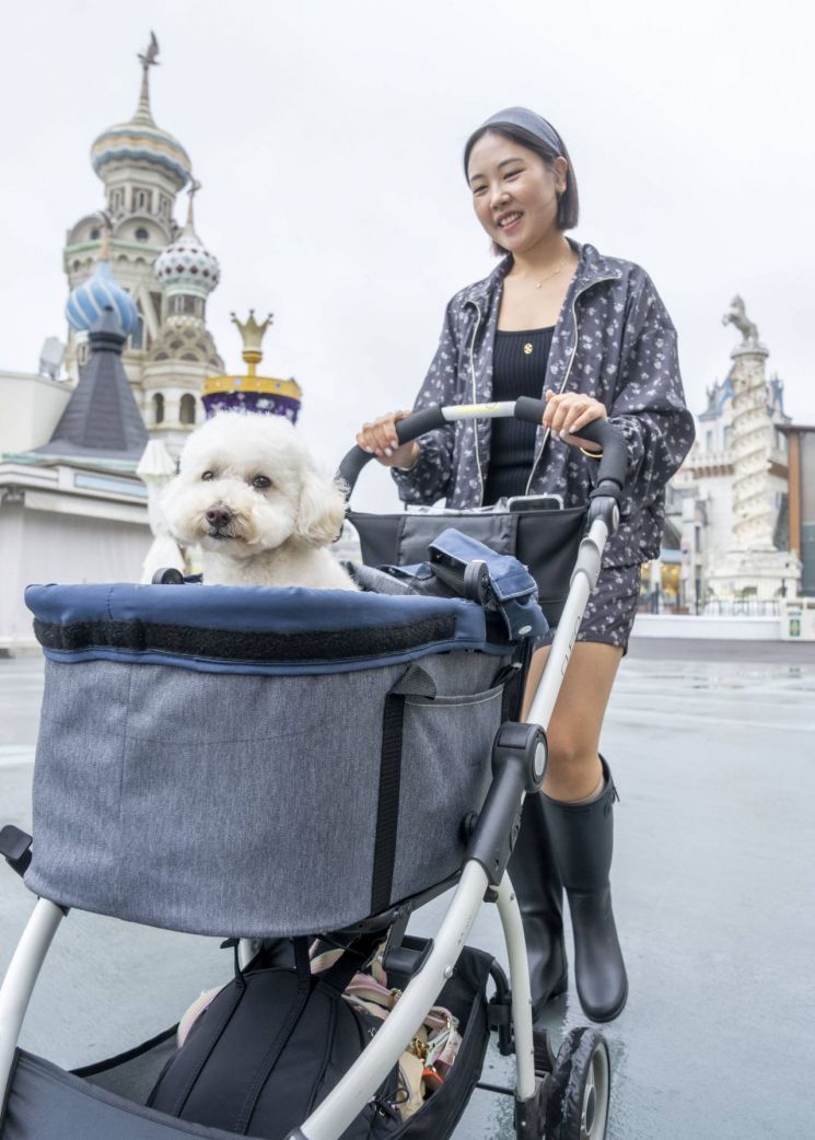 "가을을 함께하개"…에버랜드, 반려견과 단풍 나들이 이벤트