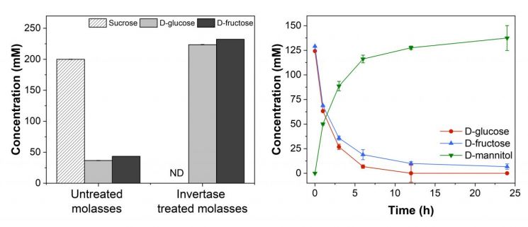'설탕 찌꺼기를 고부가가치 물질로'…GIST, 'D-만니톨' 생산 성공
