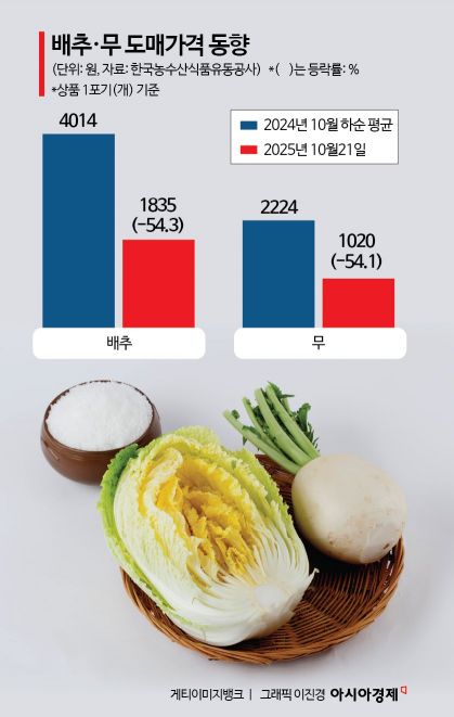 올해는 김치 담가볼까…배추·무 가격 50% 하락, 김장 수요↑
