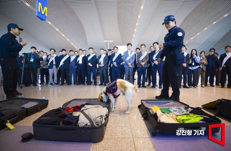 [포토] 빈대 탐지하는 탐지견