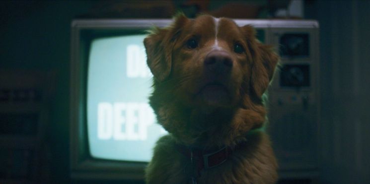 영화 '굿보이' 스틸 컷