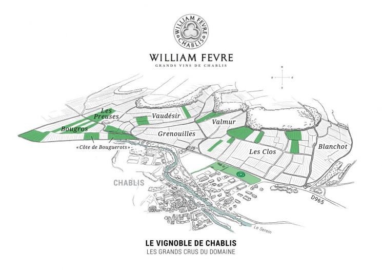 [아경와인셀라]'바다의 잔향'을 한 잔에 담았다…샤블리의 정수  