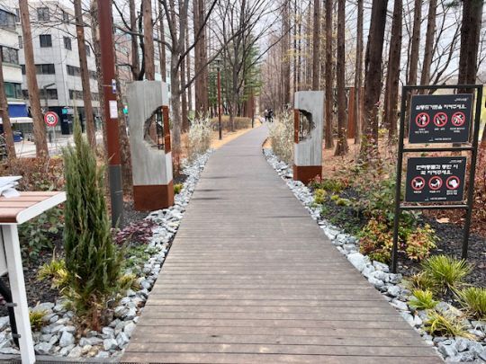 살롱드가든 조경. 서초구 제공.