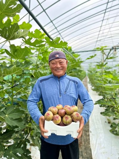 쿠팡, 충주·함평 등 인구감소 지역 과일 6600t 직매입…전년比 20%↑