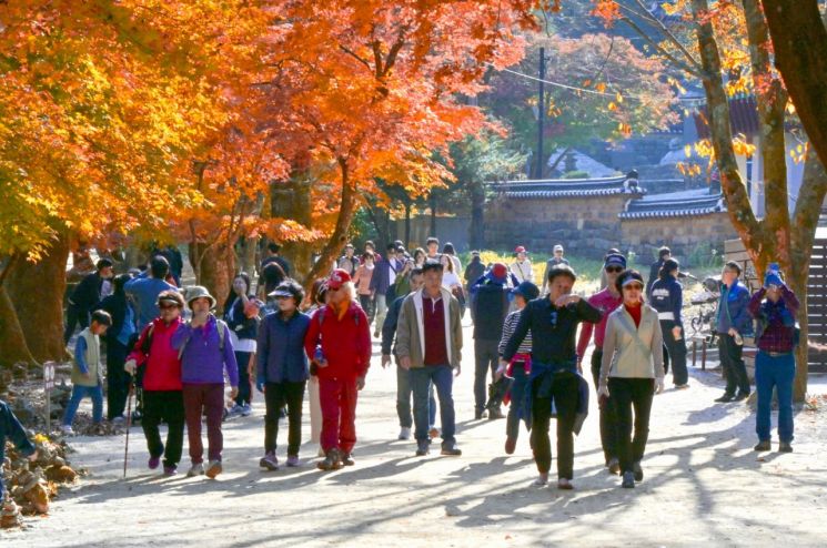 순창군이 강천산군립공원의 가을 단풍철을 맞아 오는 24일부터 '가을 성수기 특별 운영'에 들어간다. 순창군 제공