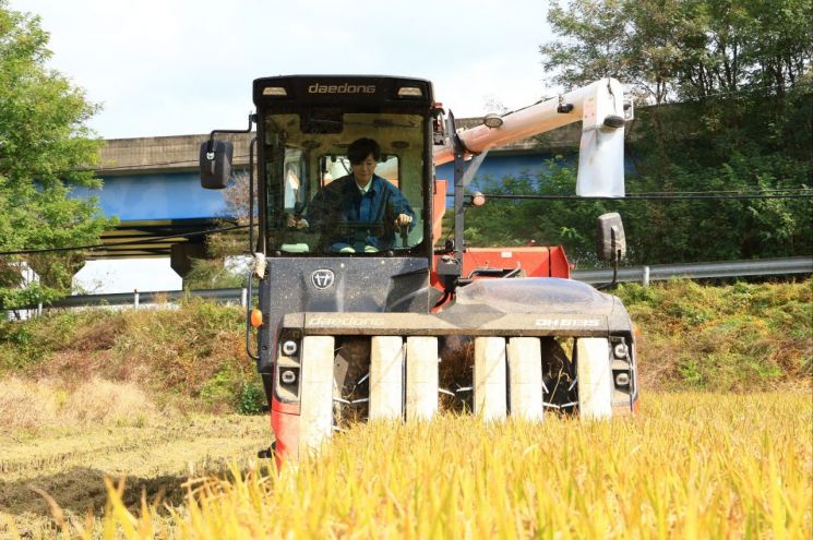 벼 수확 현장 찾은 송미령 "쌀 산업, 중장기 구조 개선 나설 것"