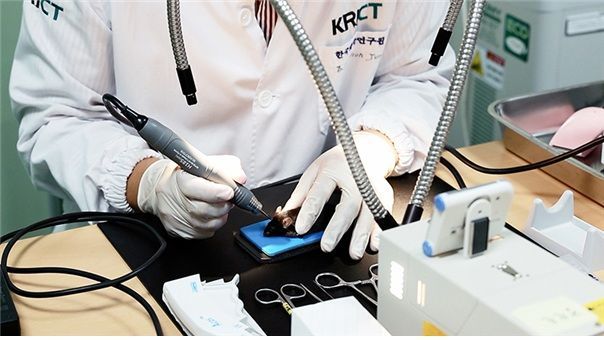 연구팀이 실험용 쥐에게 나노입자-줄기세포 복합체 이식 실험을 하고 있다. 연구팀 제공