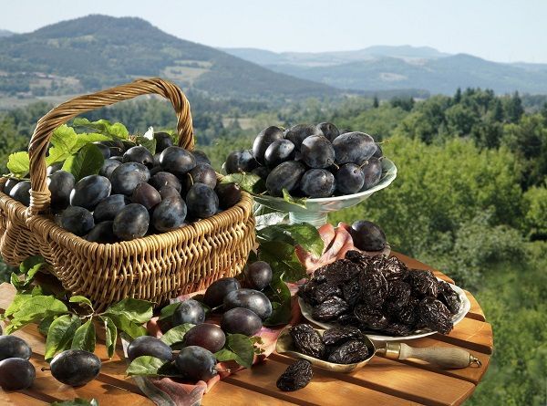 이게 과일이야 보약이야? 하루 한 줌으로 몸이 달라졌다