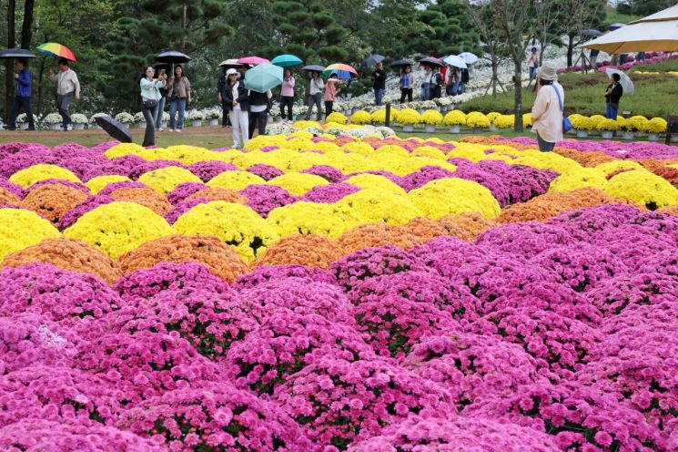 [주말 날씨] 광주·전남 흐리고 선선… 남해안 강풍
