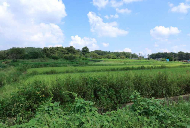 서해안 조개무덤서 2000년 생활사 찾는다