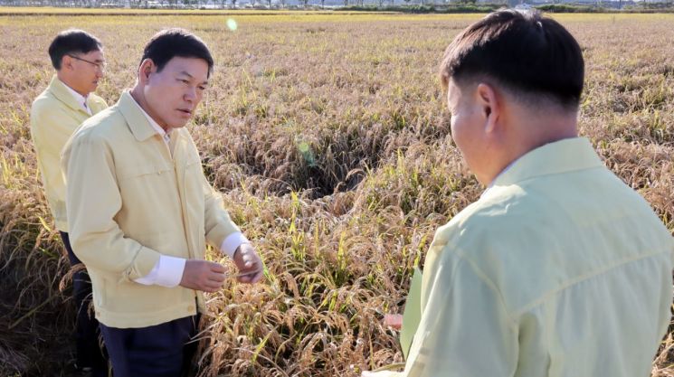 "벼 깨씨무늬병 농업재해"…담양군, 피해조사 착수