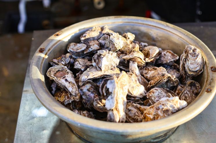 11월15일부터 보령에서 천북 굴축제가 열린다