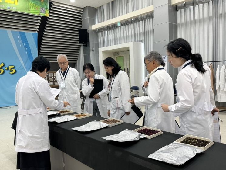 대한민국 티블렌딩 대회에서 심사를 하고 있다. 보성군 제공