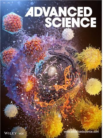 AAV/MnO2-PEI 하이브리드 복합체의 종양 사멸 메커니즘을 시각화한 'Advanced Science'의 커버 이미지. 한국보건산업진흥원