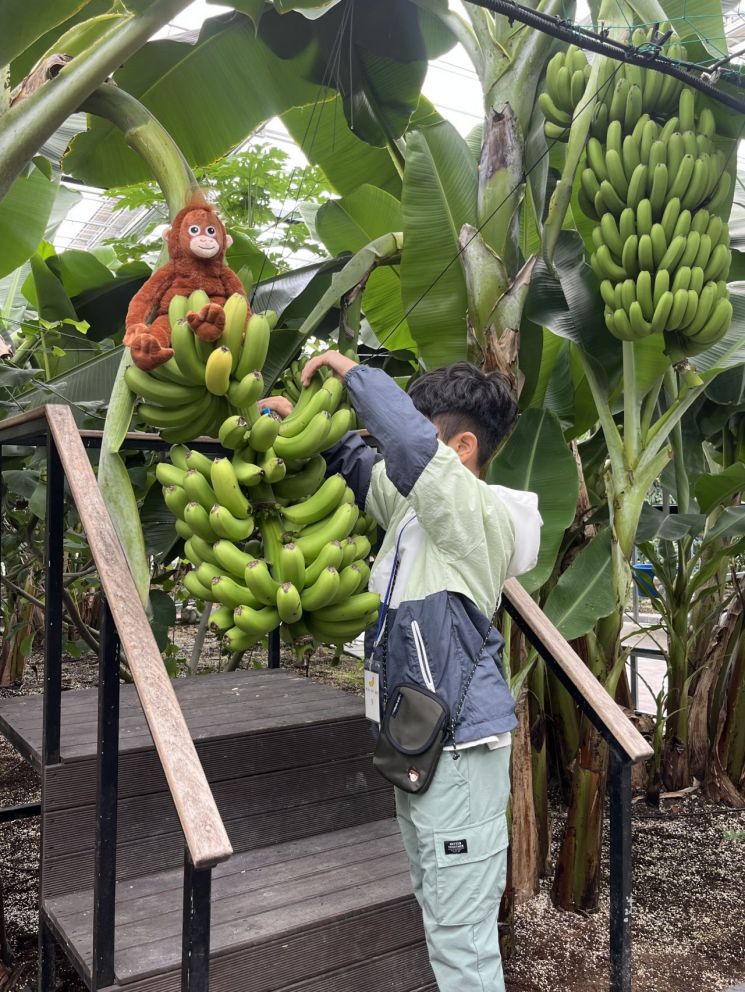 전남 함평군 '2025 대한민국 국향대전'의 인기 전시공간인 '아열대농업관'이 이국적 분위기와 체험 프로그램으로 관람객들의 큰 호응을 얻고 있다. 함평군 제공